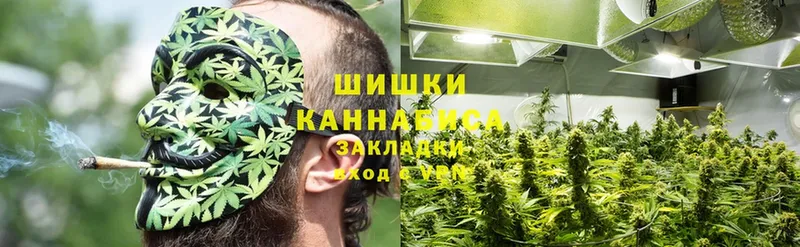 где купить наркотик  Минусинск  Канабис OG Kush 